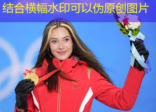 运动场地材料选择时要考虑的地理因素有哪些？