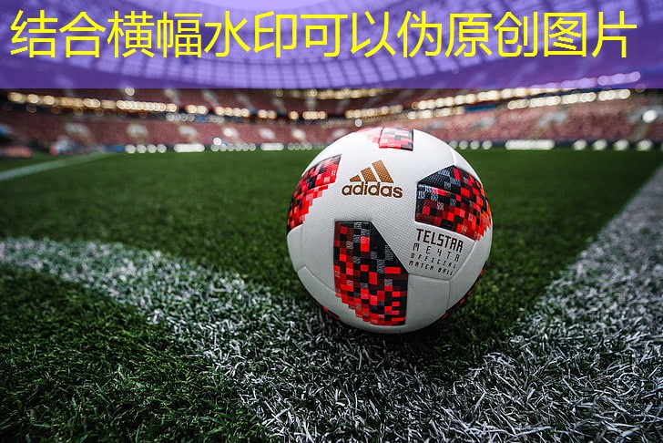 健身房骑车器材叫什么意思